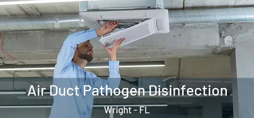  Air Duct Pathogen Disinfection Wright - FL