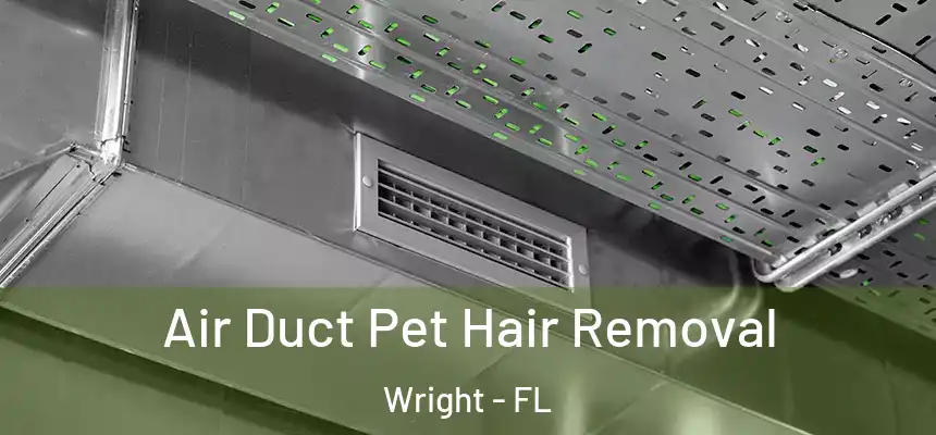  Air Duct Pet Hair Removal Wright - FL