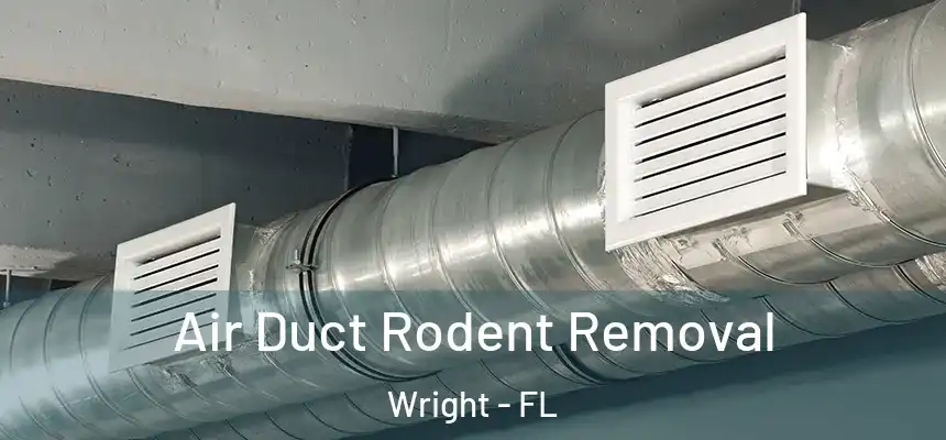  Air Duct Rodent Removal Wright - FL