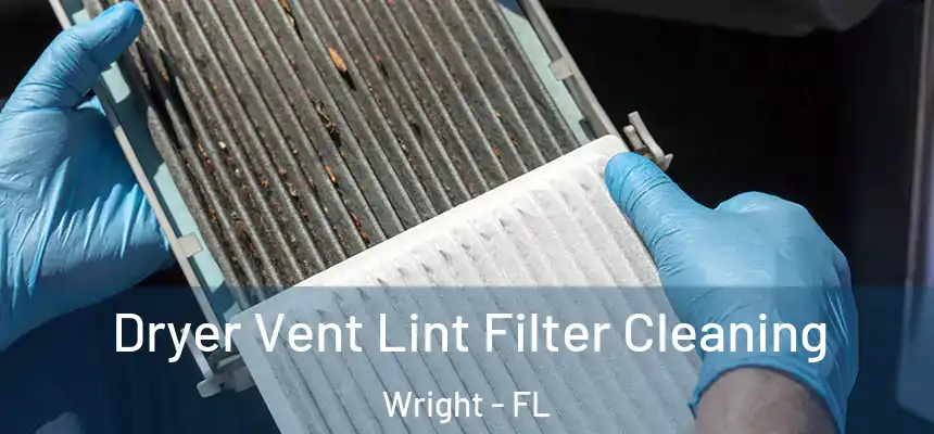 Dryer Vent Lint Filter Cleaning Wright - FL