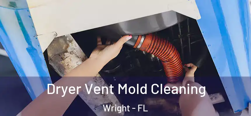 Dryer Vent Mold Cleaning Wright - FL