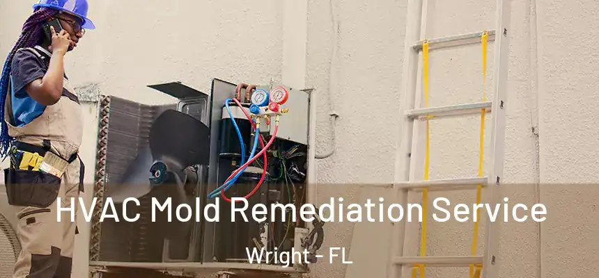  HVAC Mold Remediation Service Wright - FL