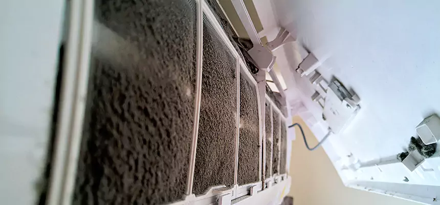 Preventive Air Duct Bacteria Removal in Wright