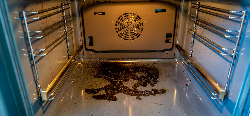 Our Dryer Vent Mold Cleaning Services in Wright, FL