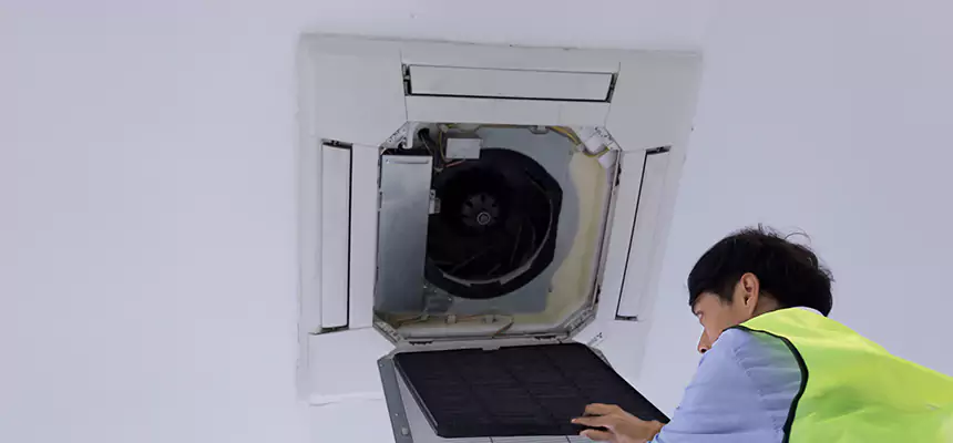 Our Dryer Vent Sanitization Service Services in Wright, FL