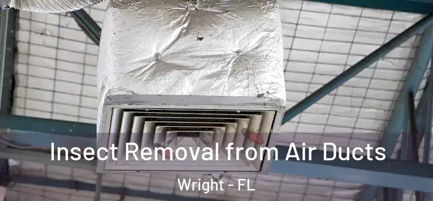  Insect Removal from Air Ducts Wright - FL
