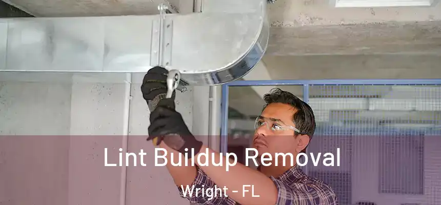 Lint Buildup Removal Wright - FL