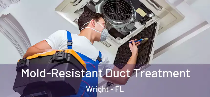  Mold-Resistant Duct Treatment Wright - FL