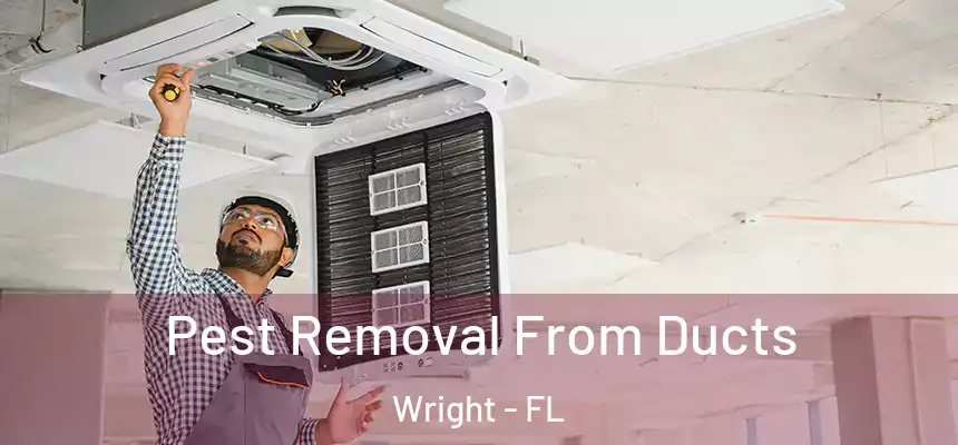 Pest Removal From Ducts Wright - FL