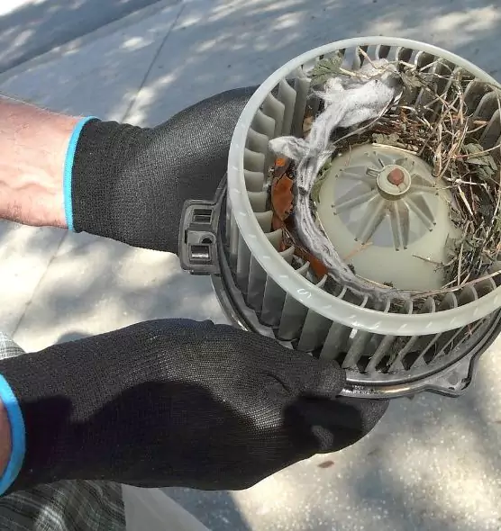 About Air Duct Rat Removal in Wright, FL