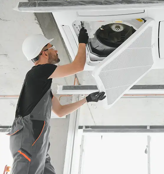 About Air Duct Rodent Removal in Wright, FL