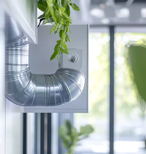 Professional Eco-Friendly Duct Cleaning Services in Wright, FL