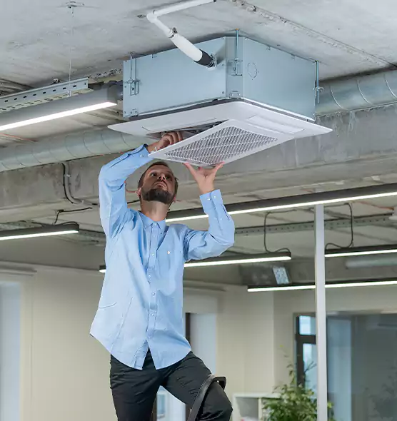 Advanced Rodent Droppings In Vents in Wright, FL