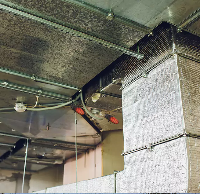 Why Homeowners & Businesses Trust Us in Wright, FL?