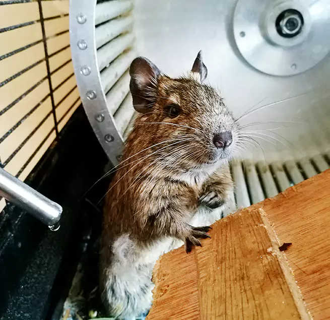 Why Homeowners & Businesses Trust Us Wright, FL